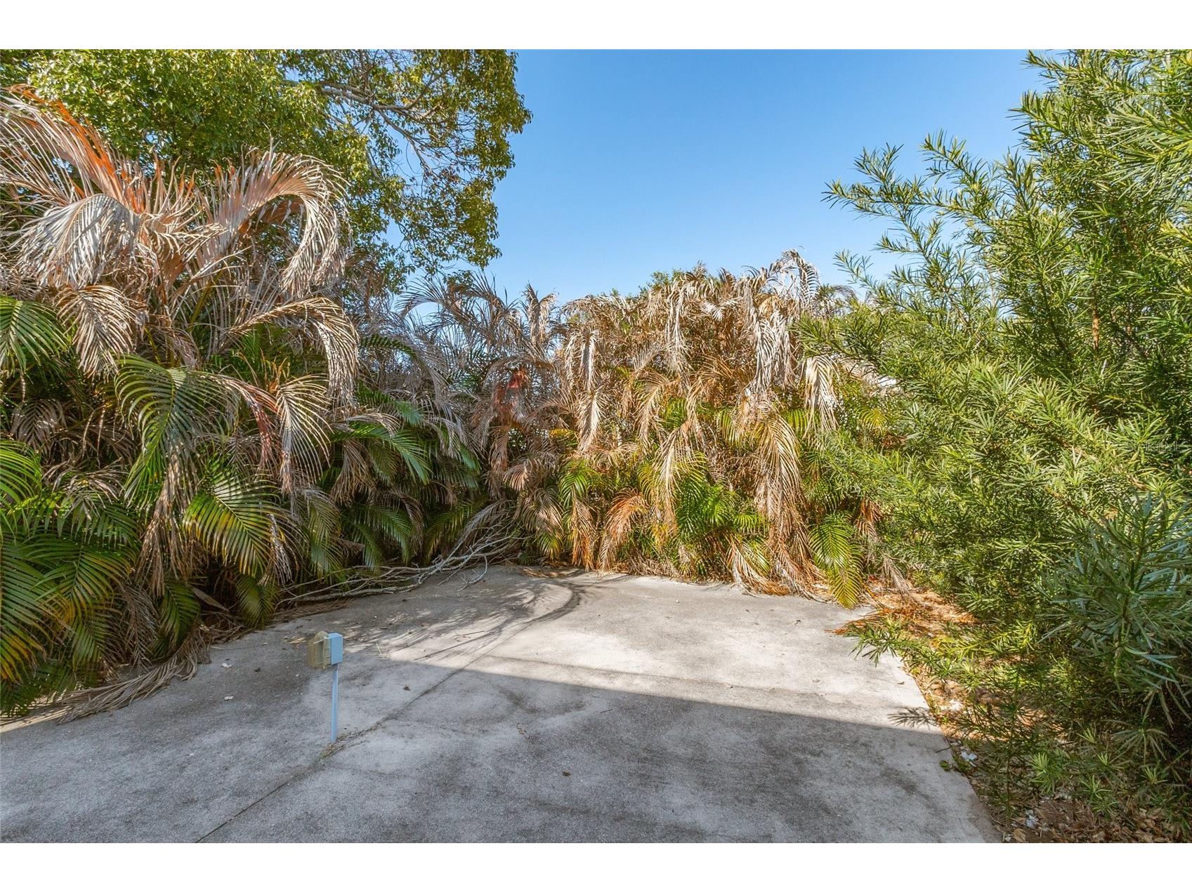 917 Cypress Street Sebastian FL 32976 O6394466 image7