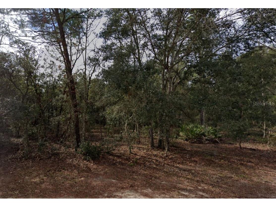 917 David Avenue Interlachen FL 32148 C7514782 image1