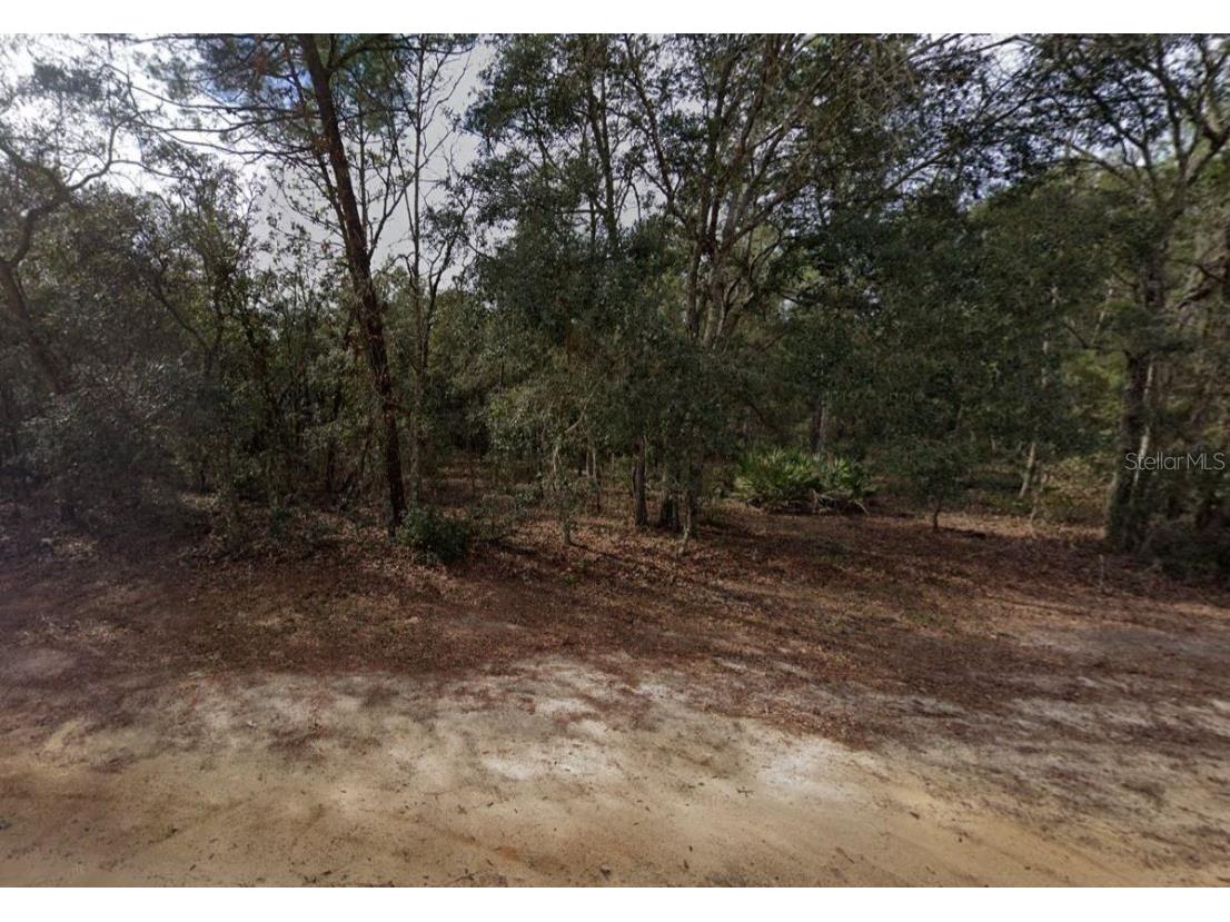 917 David Avenue Interlachen FL 32148 C7514782 image2