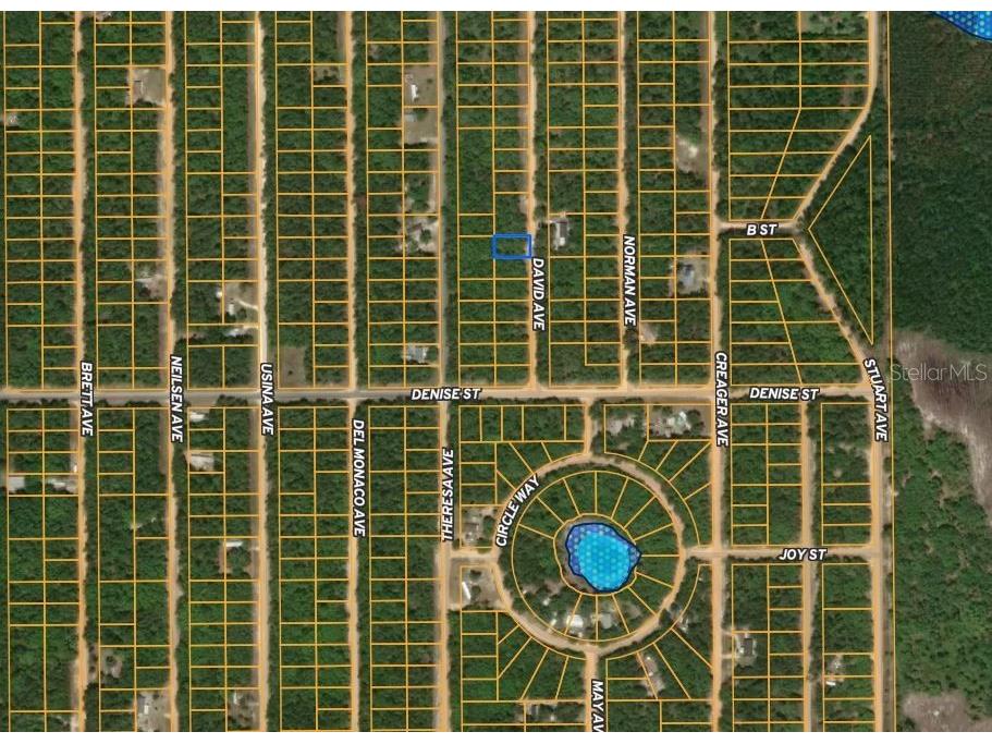 917 David Avenue Interlachen FL 32148 C7514782 image6