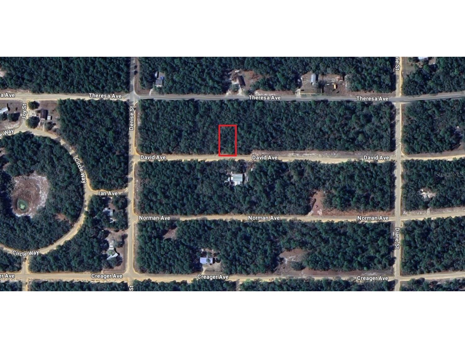 917 David Avenue Interlachen FL 32148 C7514782 image8
