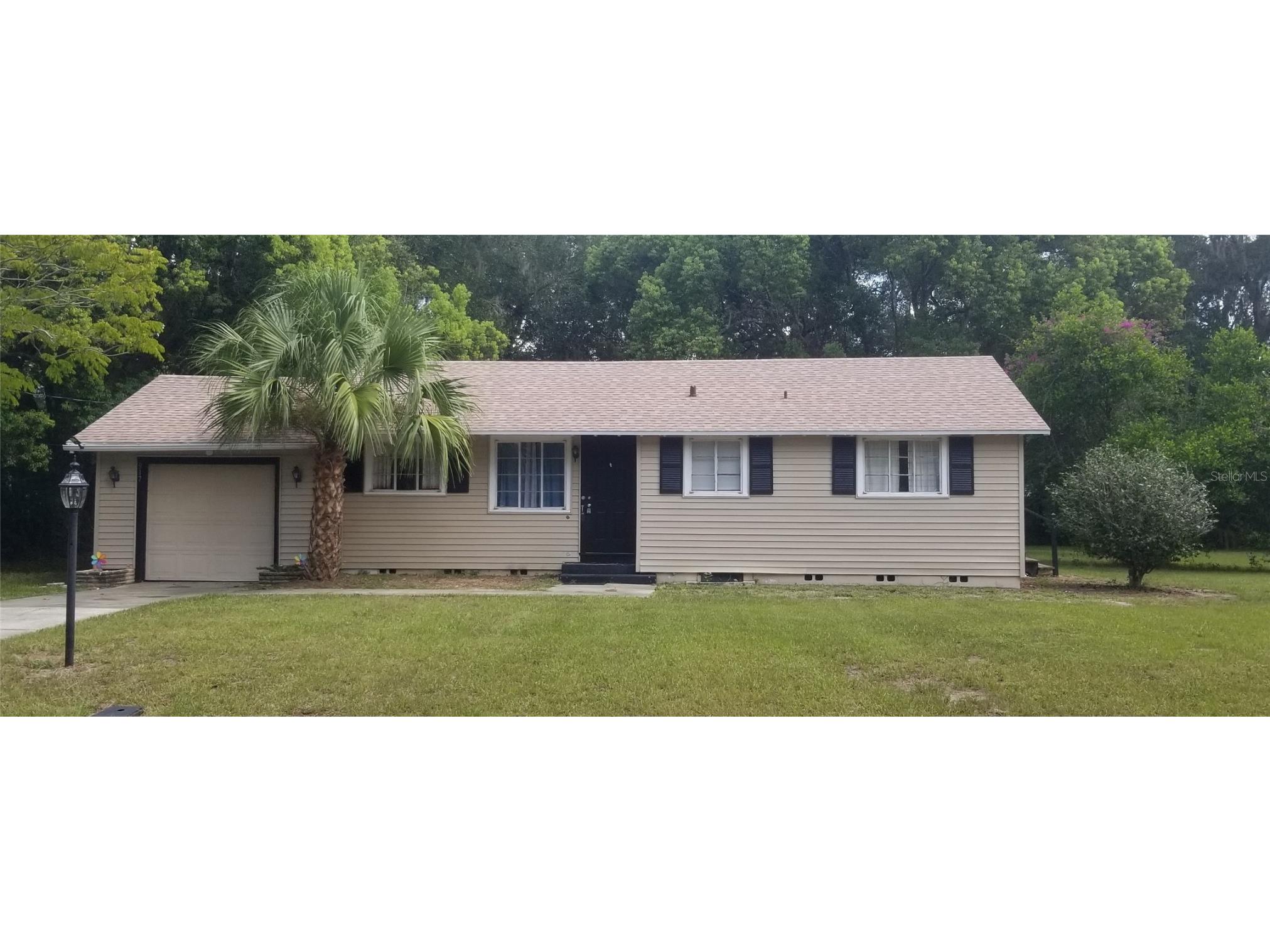 917 E 4th Avenue Mount Dora FL 32757 G5104768 image1