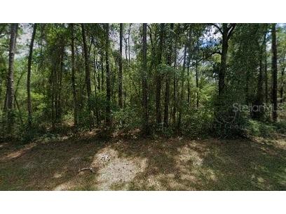 917 E Abend Drive Dunnellon FL 34434 G5101003 image1