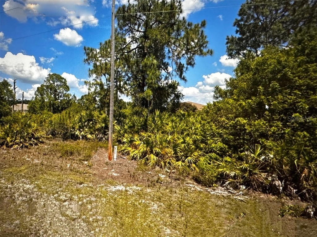 917 Hepburn Avenue Lehigh Acres FL 33974 OM660260 image1