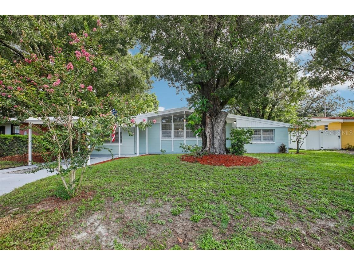 917 Lakewood Avenue Tampa FL 33613 T3541982 image1