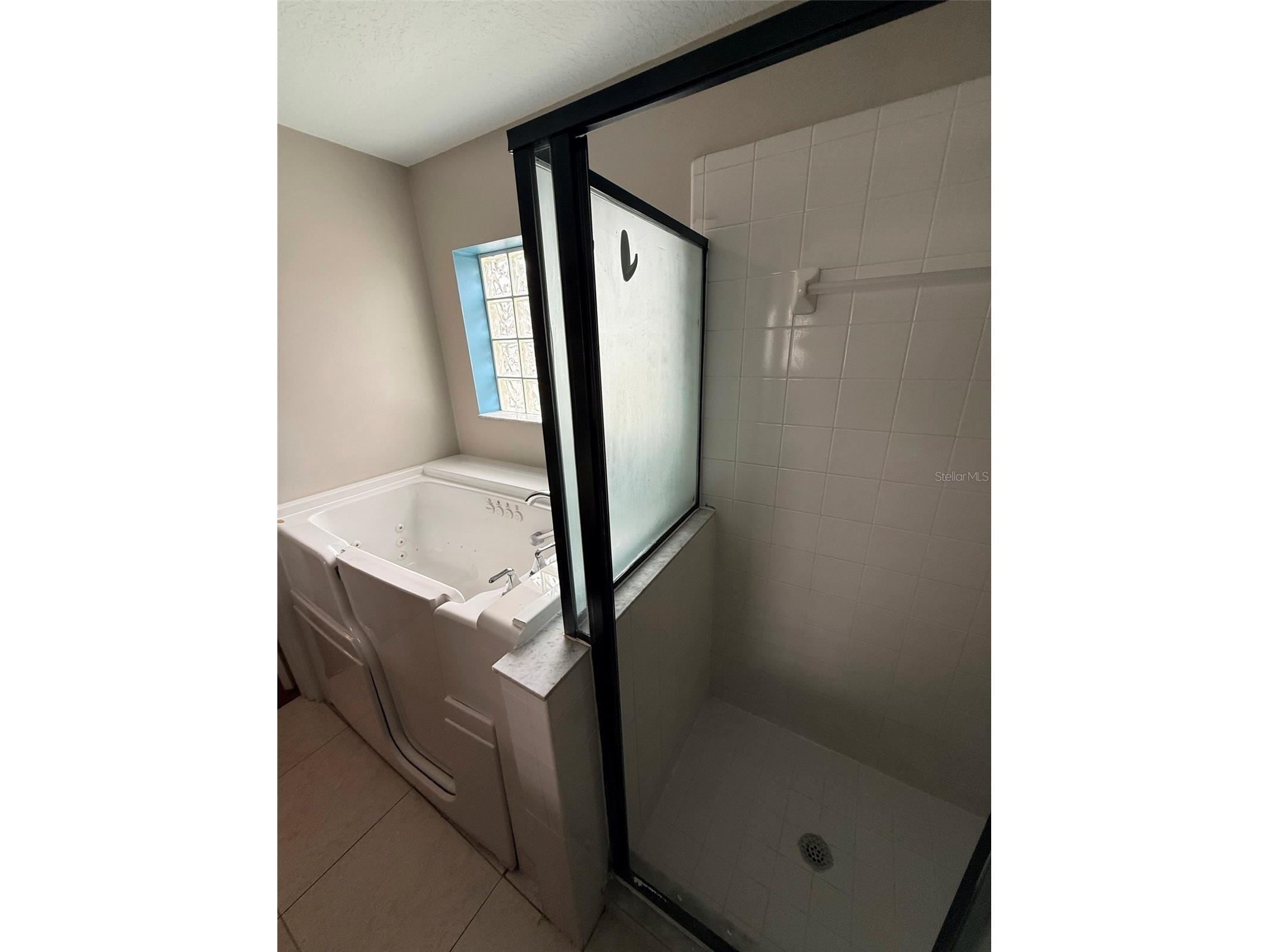 917 Marquee Drive Minneola FL 34715 O6412678 image10