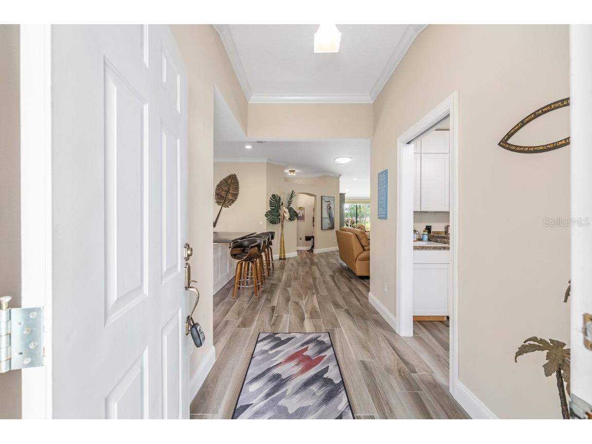 917 Ramos Drive The Villages FL 32159 G5098937 image4