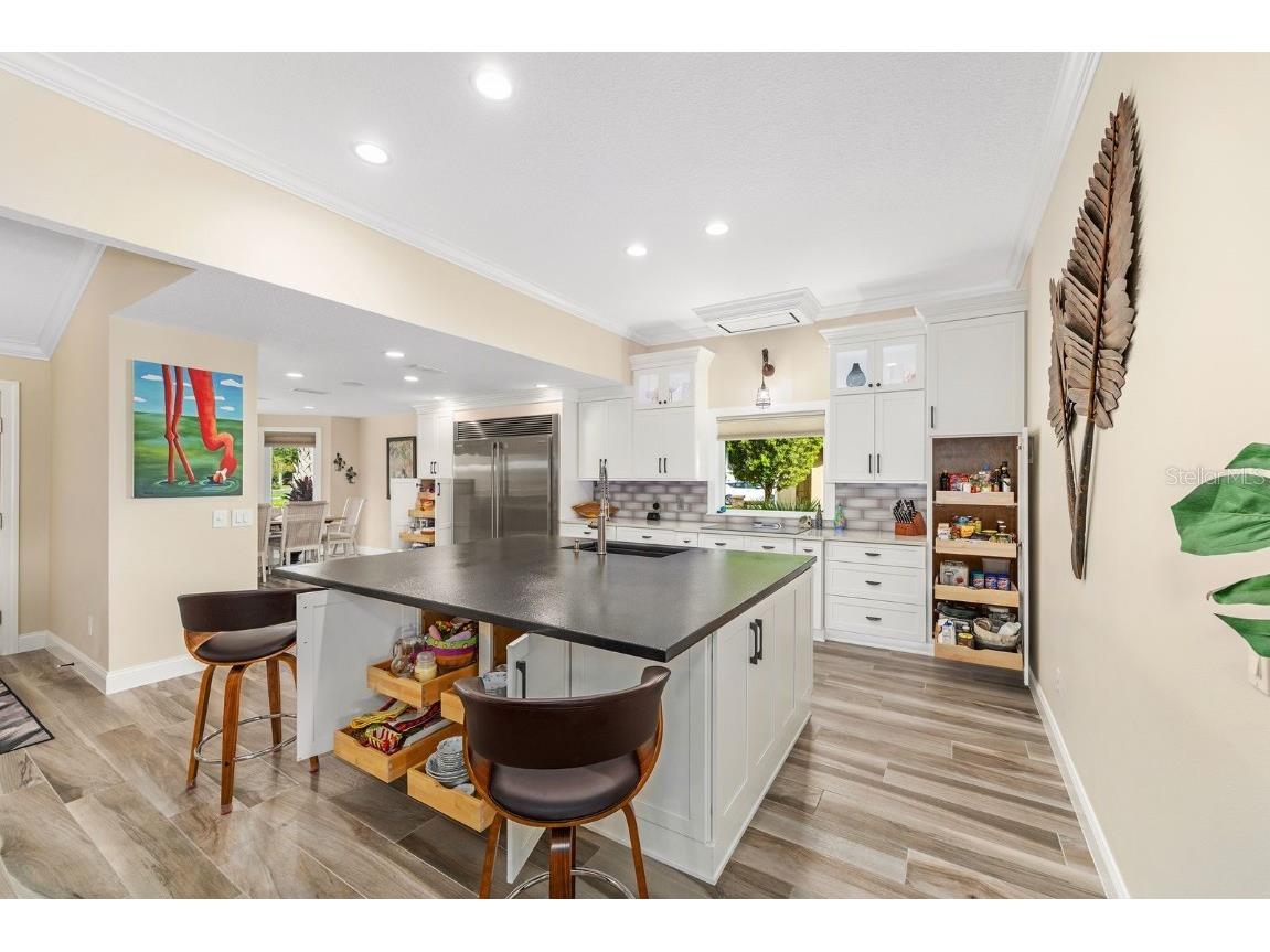 917 Ramos Drive The Villages FL 32159 G5098937 image8