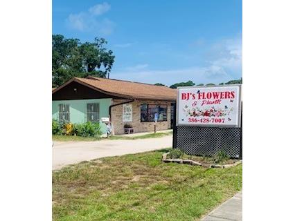 917 S Ridgewood (Us 1) Edgewater FL 32132 NS1082635 image1