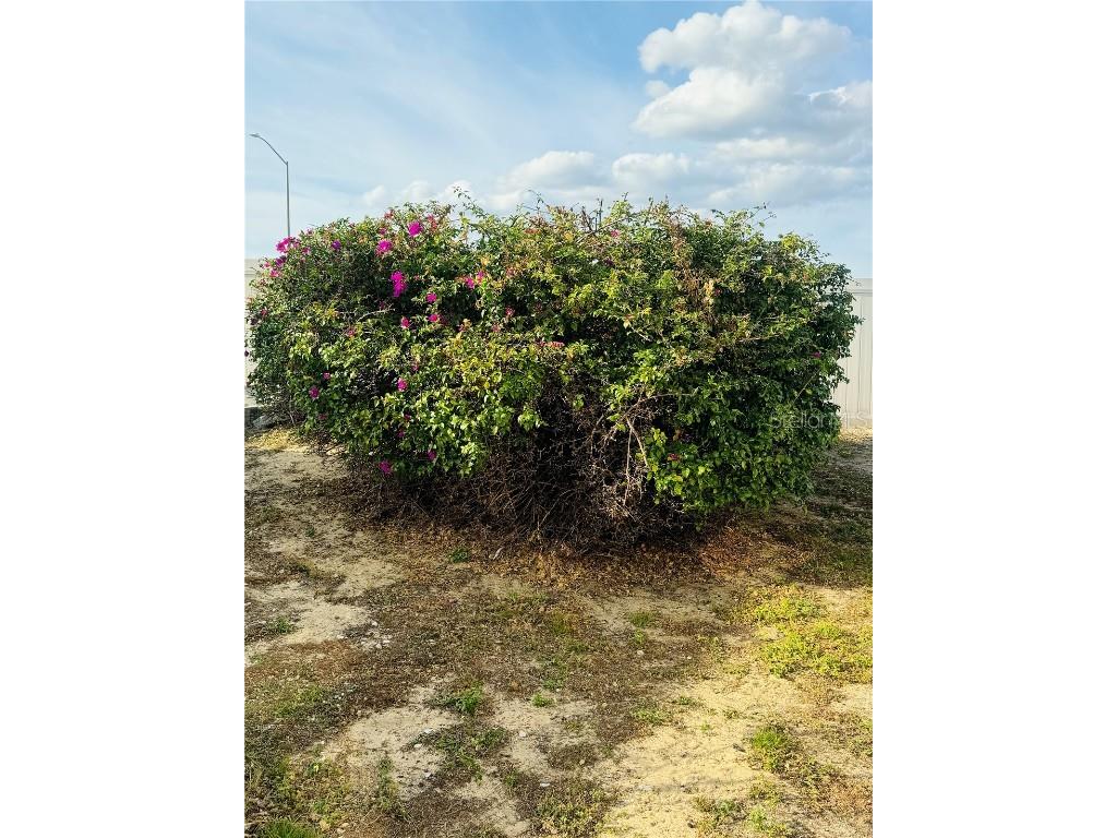 917 St George Drive Davenport FL 33837 O6371497 image3