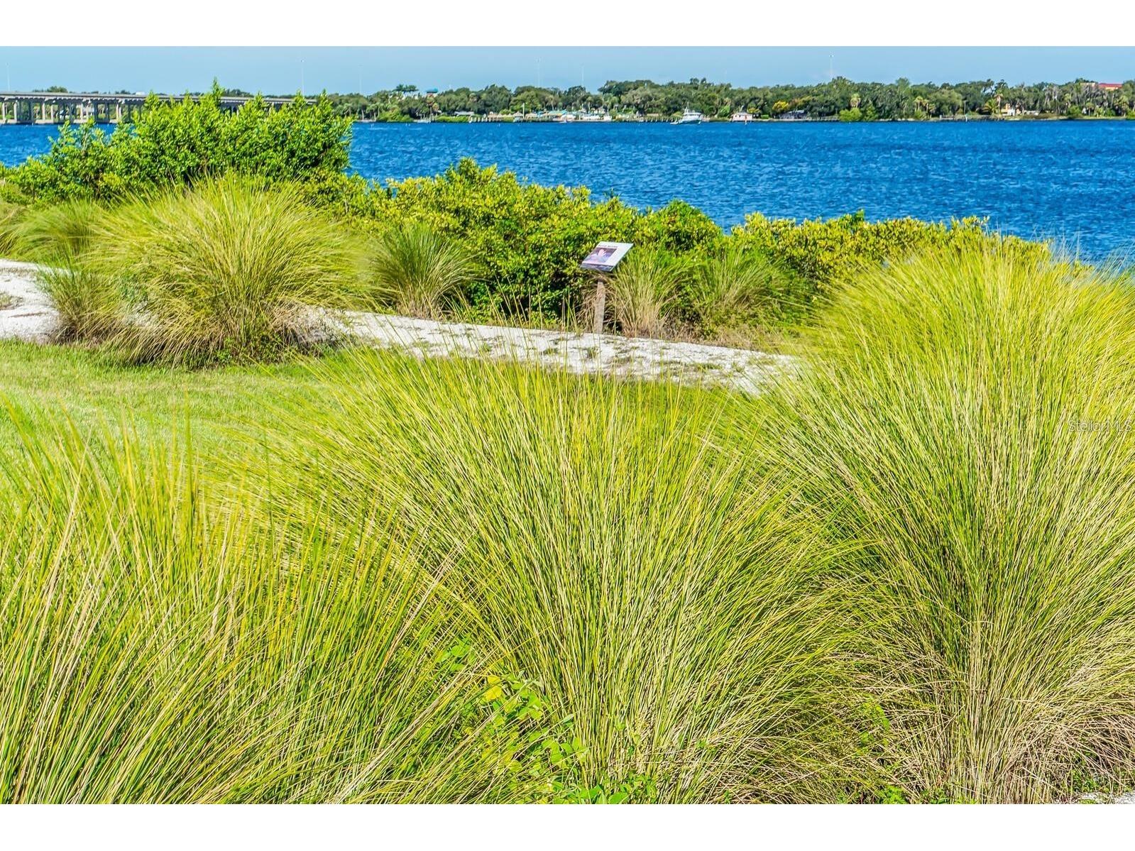 917 Tidewater Shores Loop Bradenton FL 34208 A4690908 image40