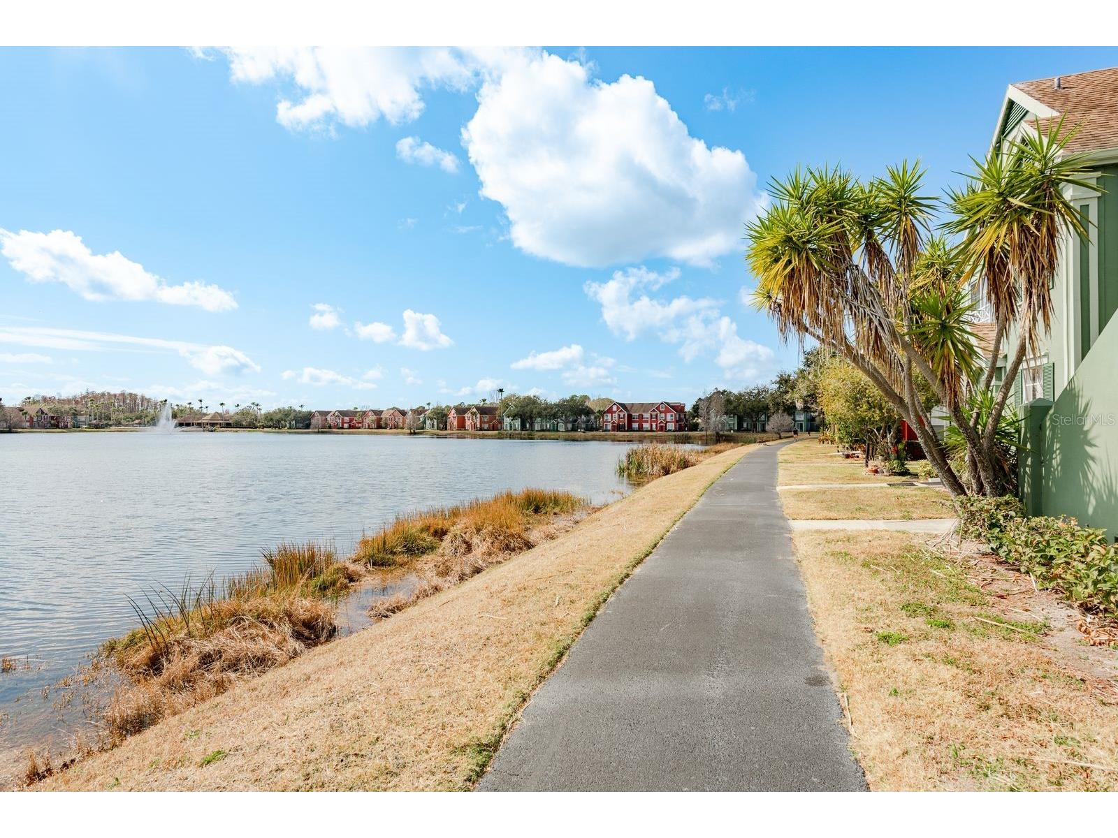 9170 Lake Chase Island Way #9170 Tampa FL 33626 TB8462271 image24