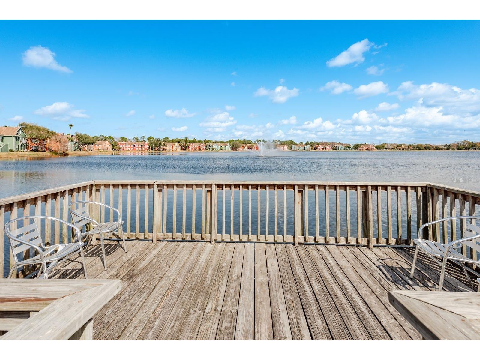 9170 Lake Chase Island Way #9170 Tampa FL 33626 TB8462271 image27