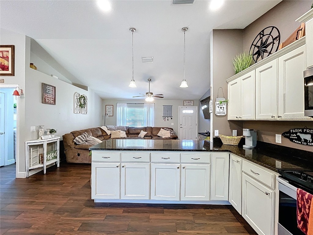 9171 N Paradisea Drive Citrus Springs FL 34433 TB8445543 image15