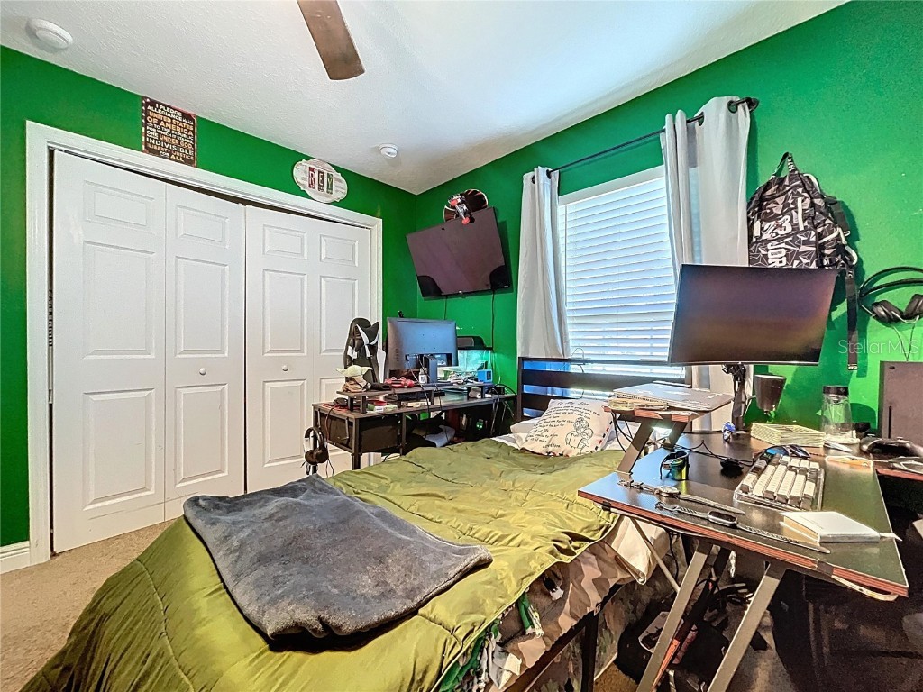 9171 N Paradisea Drive Citrus Springs FL 34433 TB8445543 image19