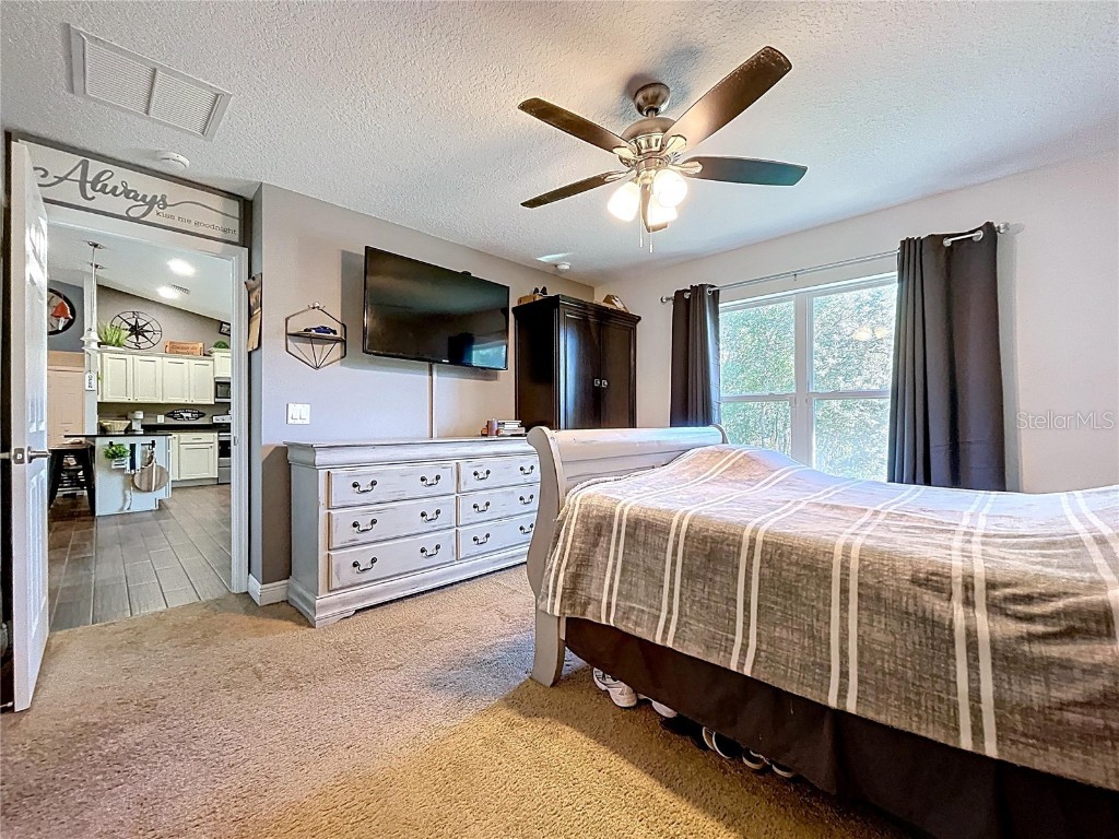 9171 N Paradisea Drive Citrus Springs FL 34433 TB8445543 image27