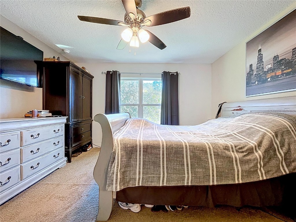 9171 N Paradisea Drive Citrus Springs FL 34433 TB8445543 image28