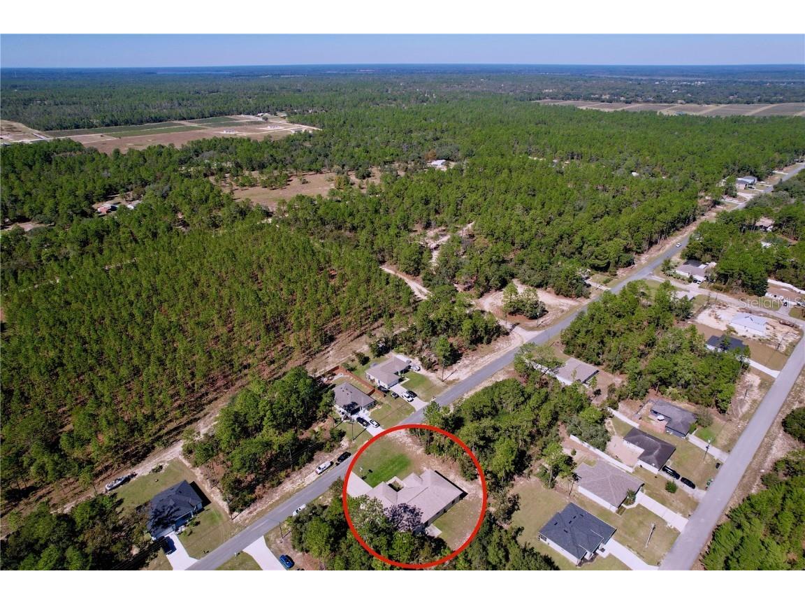 9171 N Paradisea Drive Citrus Springs FL 34433 TB8445543 image41