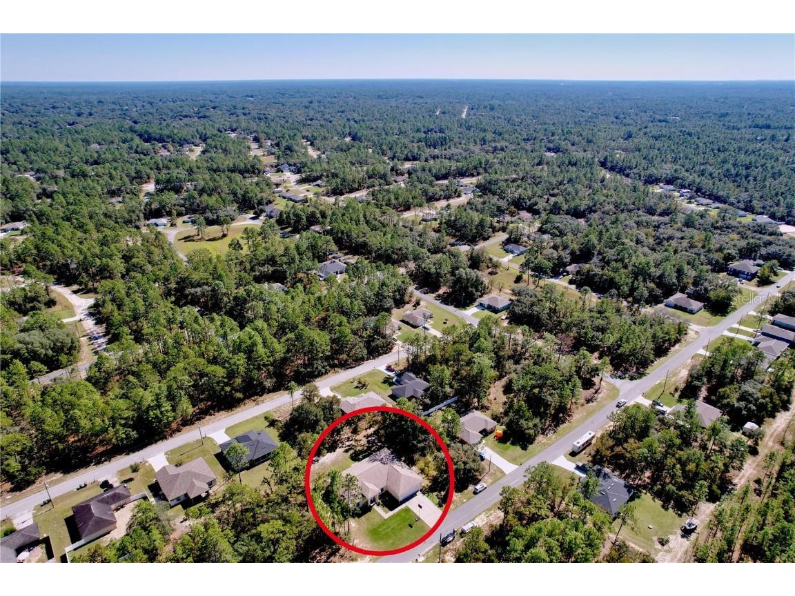 9171 N Paradisea Drive Citrus Springs FL 34433 TB8445543 image42