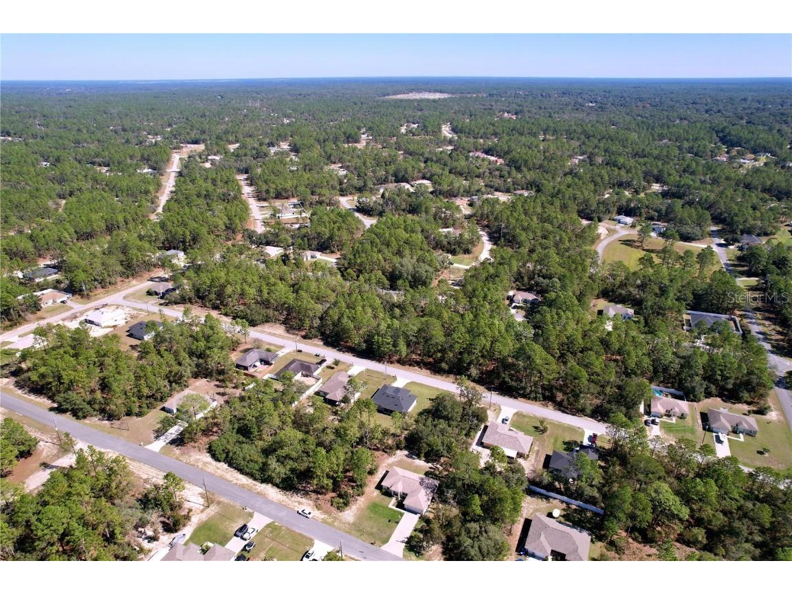 9171 N Paradisea Drive Citrus Springs FL 34433 TB8445543 image43