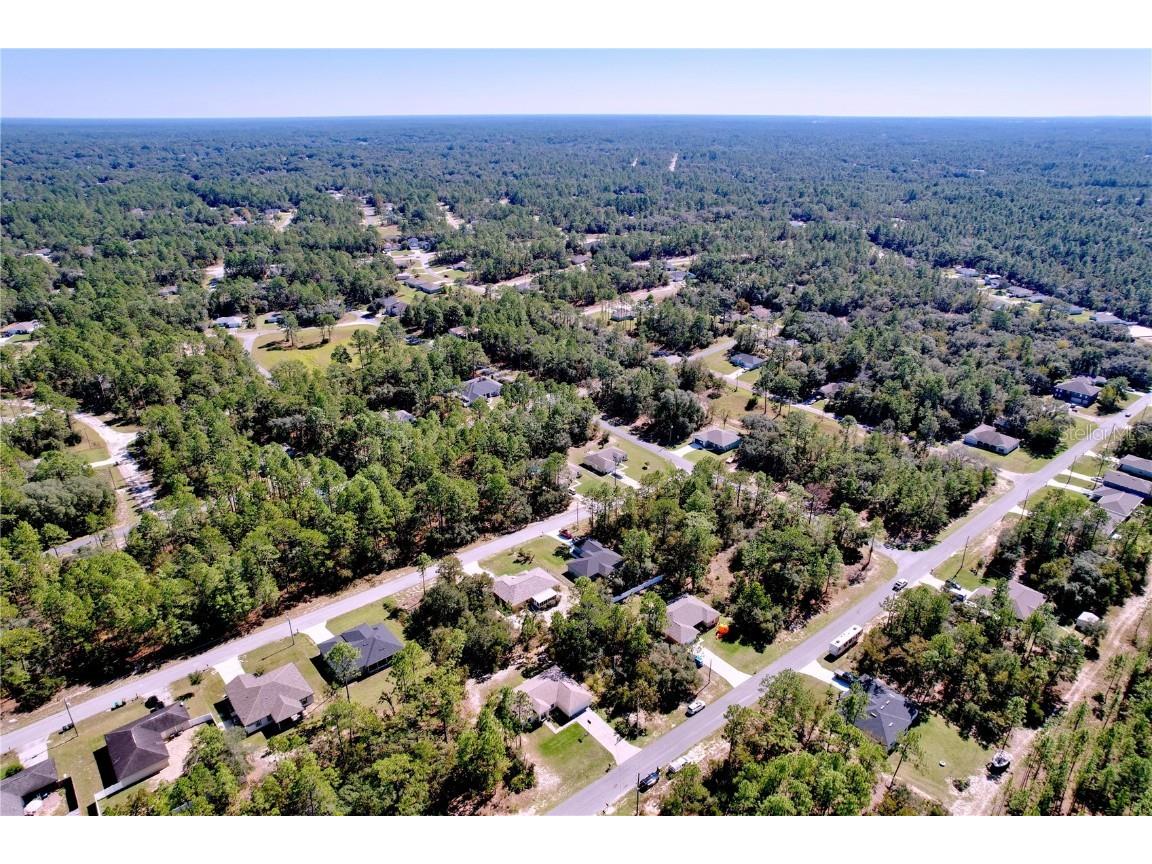 9171 N Paradisea Drive Citrus Springs FL 34433 TB8445543 image44