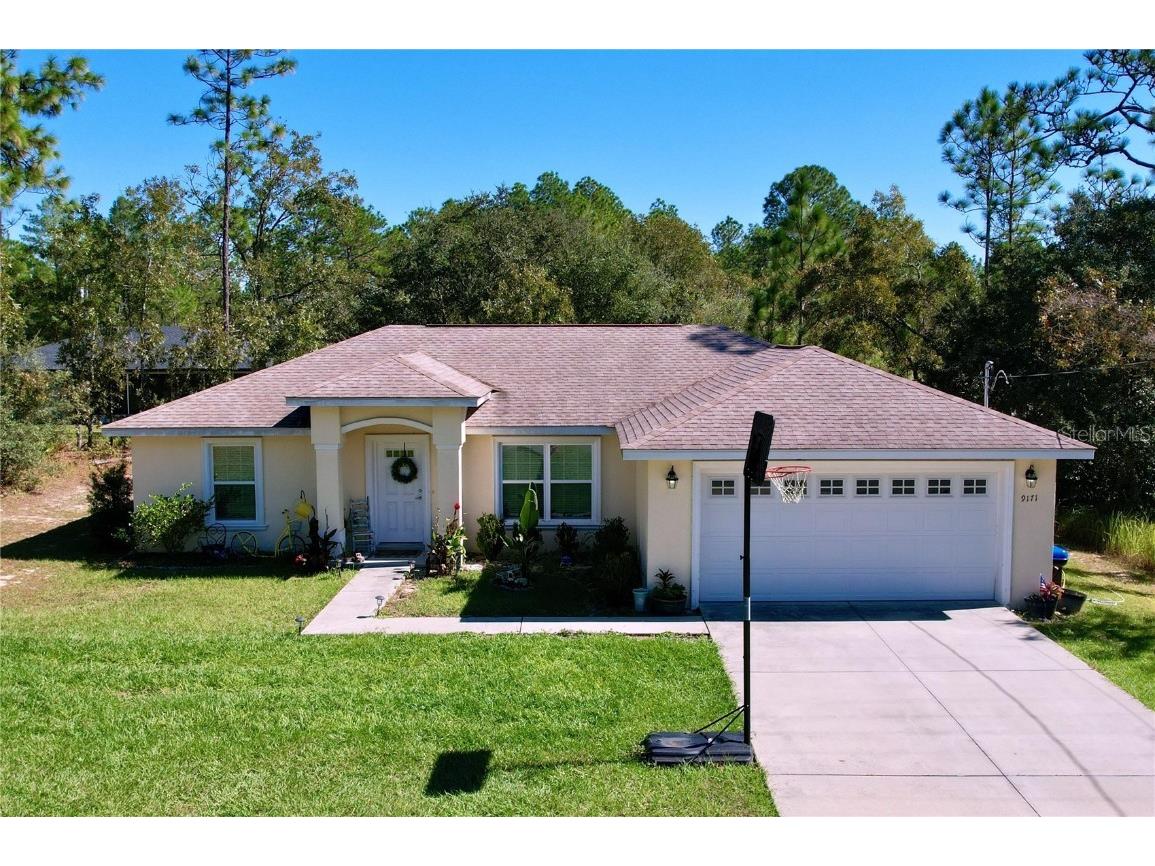 9171 N Paradisea Drive Citrus Springs FL 34433 TB8445543 image47