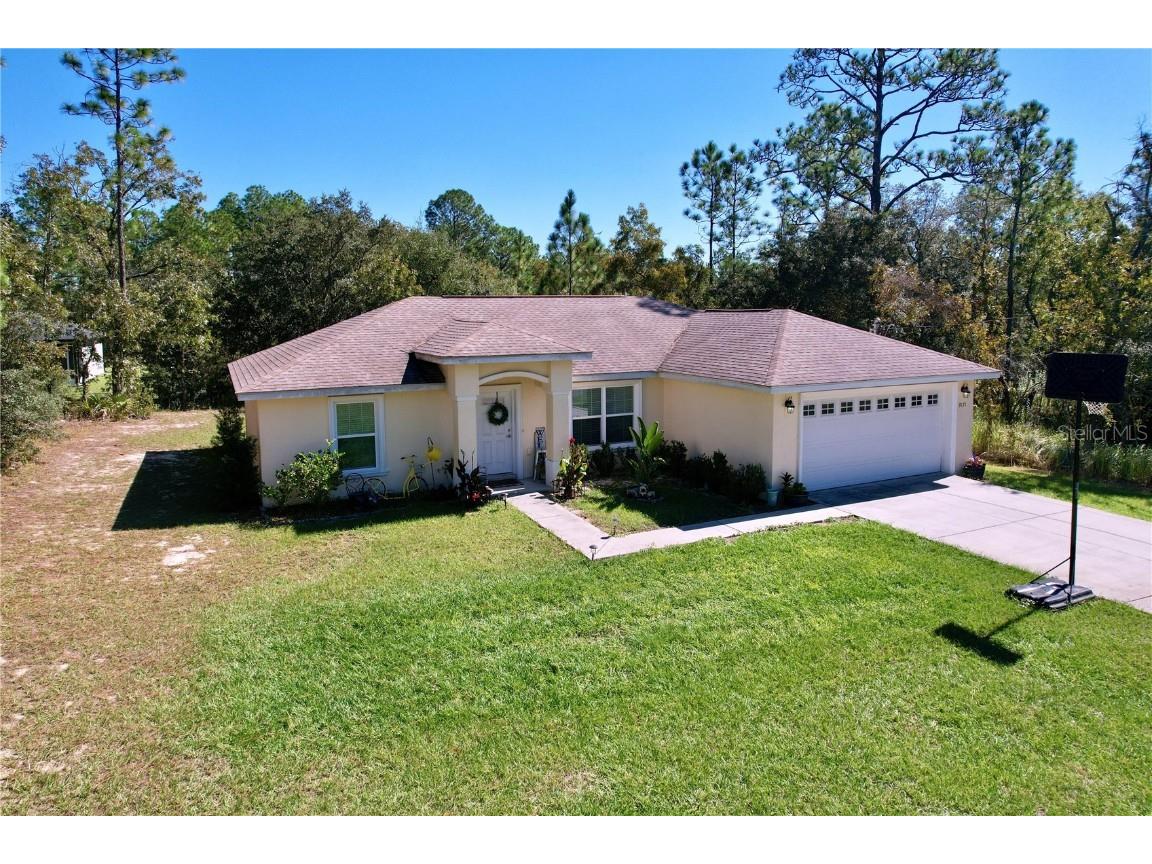 9171 N Paradisea Drive Citrus Springs FL 34433 TB8445543 image49