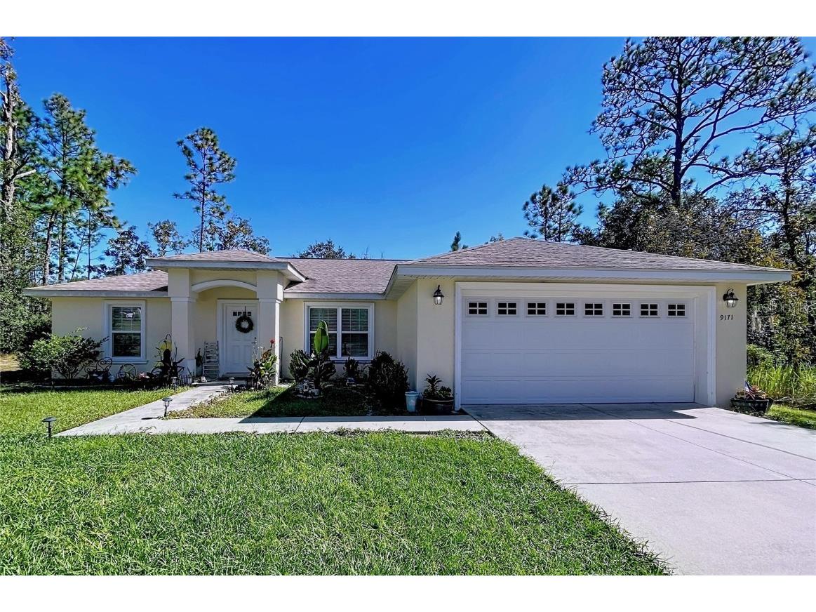 9171 N Paradisea Drive Citrus Springs FL 34433 TB8445543 image53