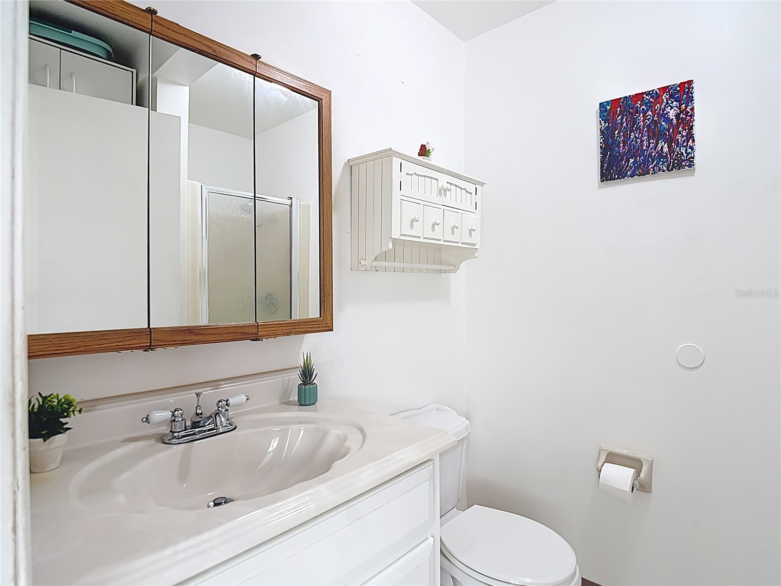 9171 Vicksburg Road Spring Hill FL 34608 TB8459907 image22