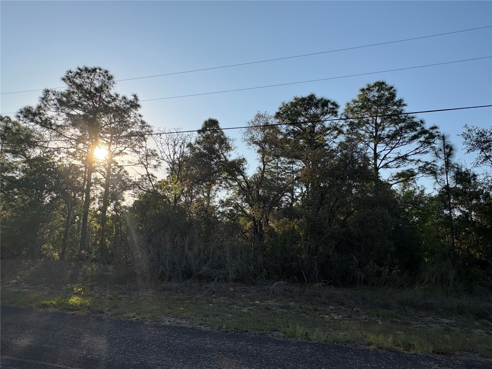 9172 N Marcus Way Citrus Springs FL 34433 TB8380364 image1