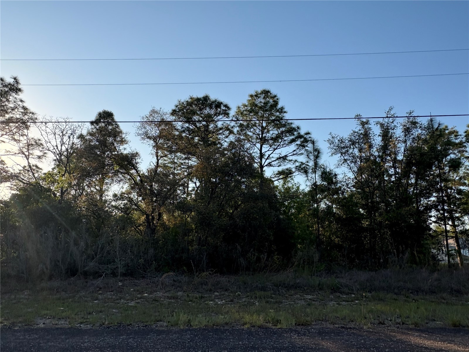 9172 N Marcus Way Citrus Springs FL 34433 TB8380364 image2