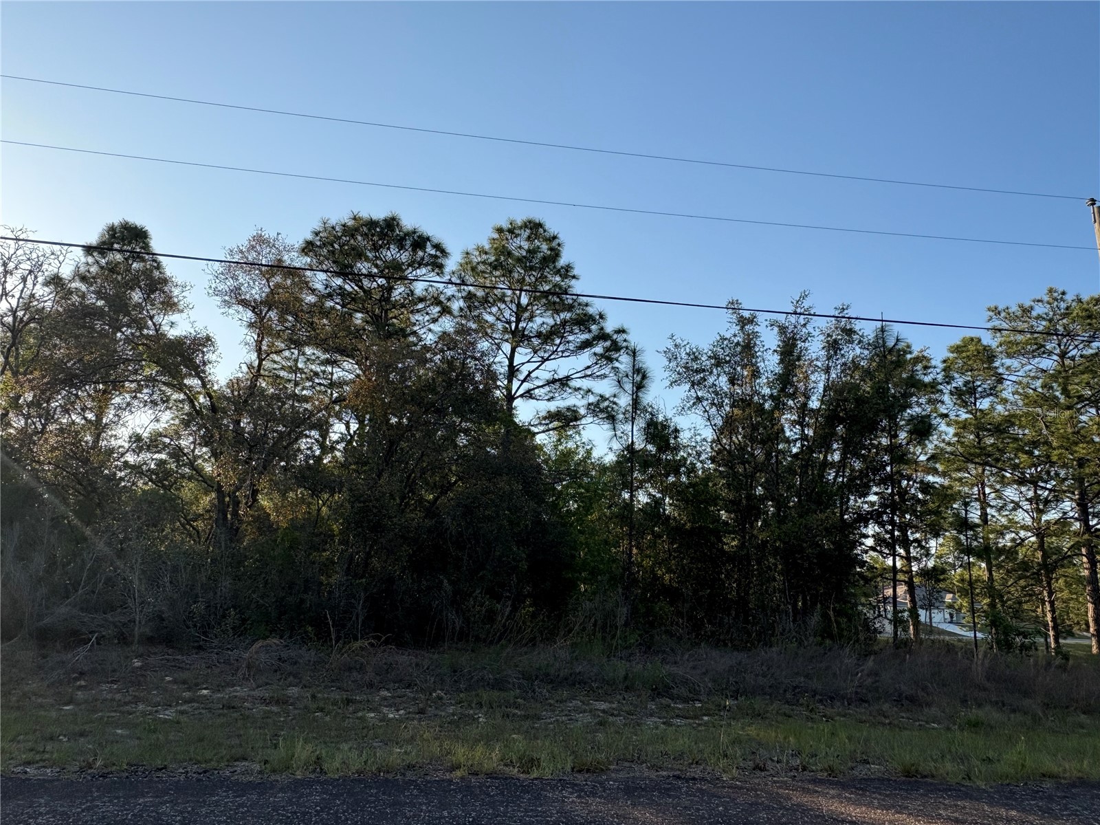 9172 N Marcus Way Citrus Springs FL 34433 TB8380364 image3