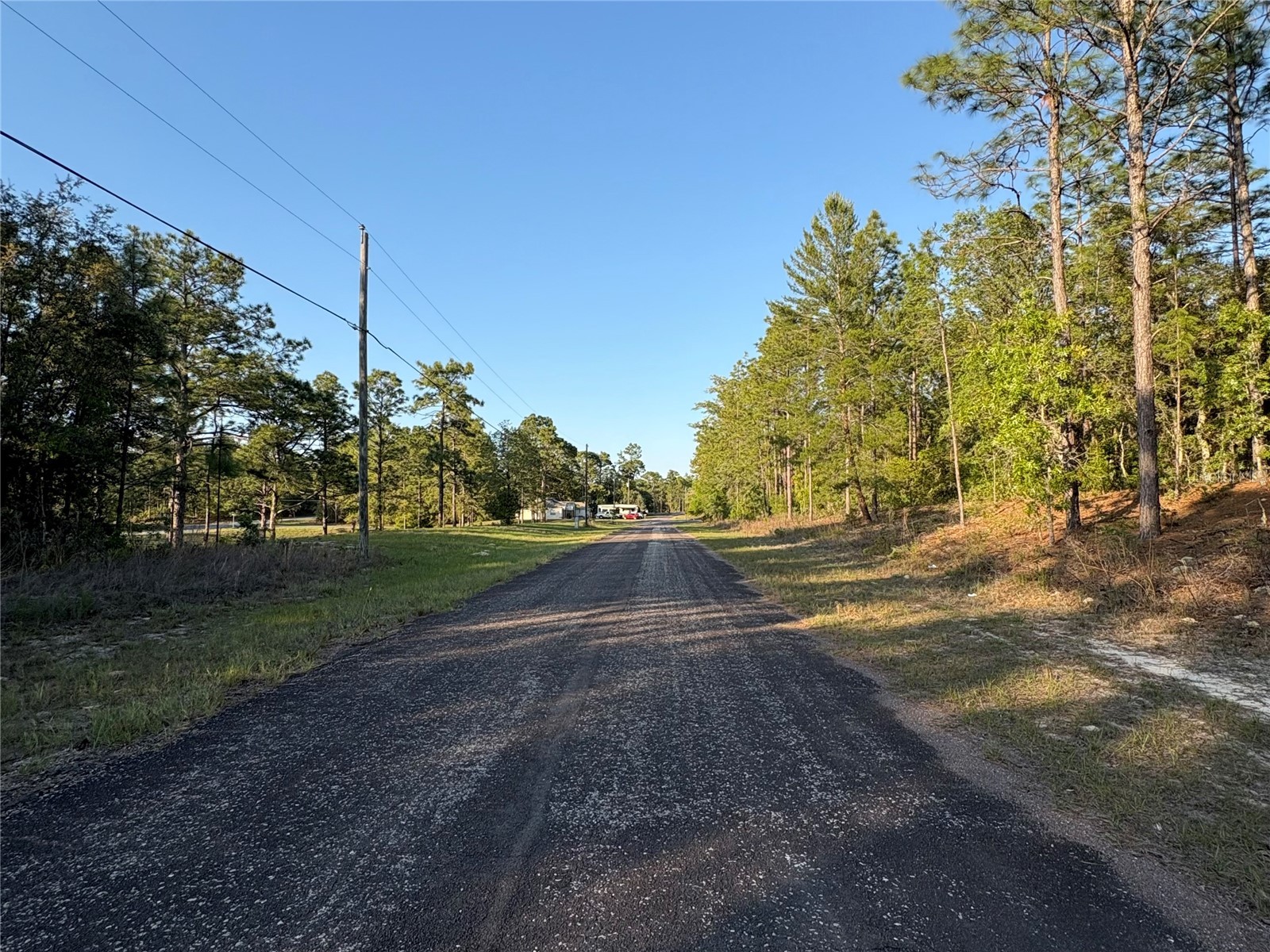 9172 N Marcus Way Citrus Springs FL 34433 TB8380364 image4