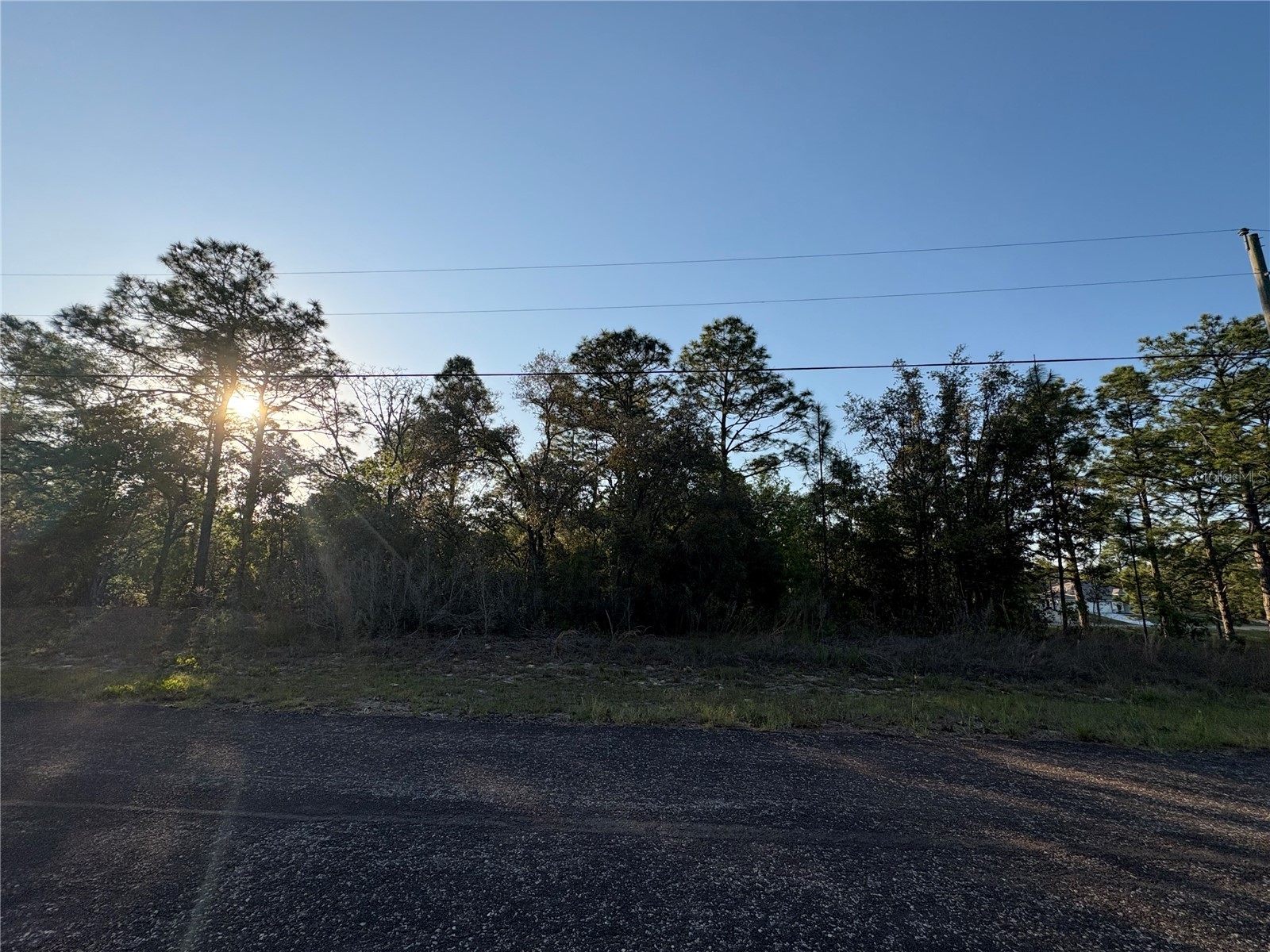 9172 N Marcus Way Citrus Springs FL 34433 TB8380364 image5