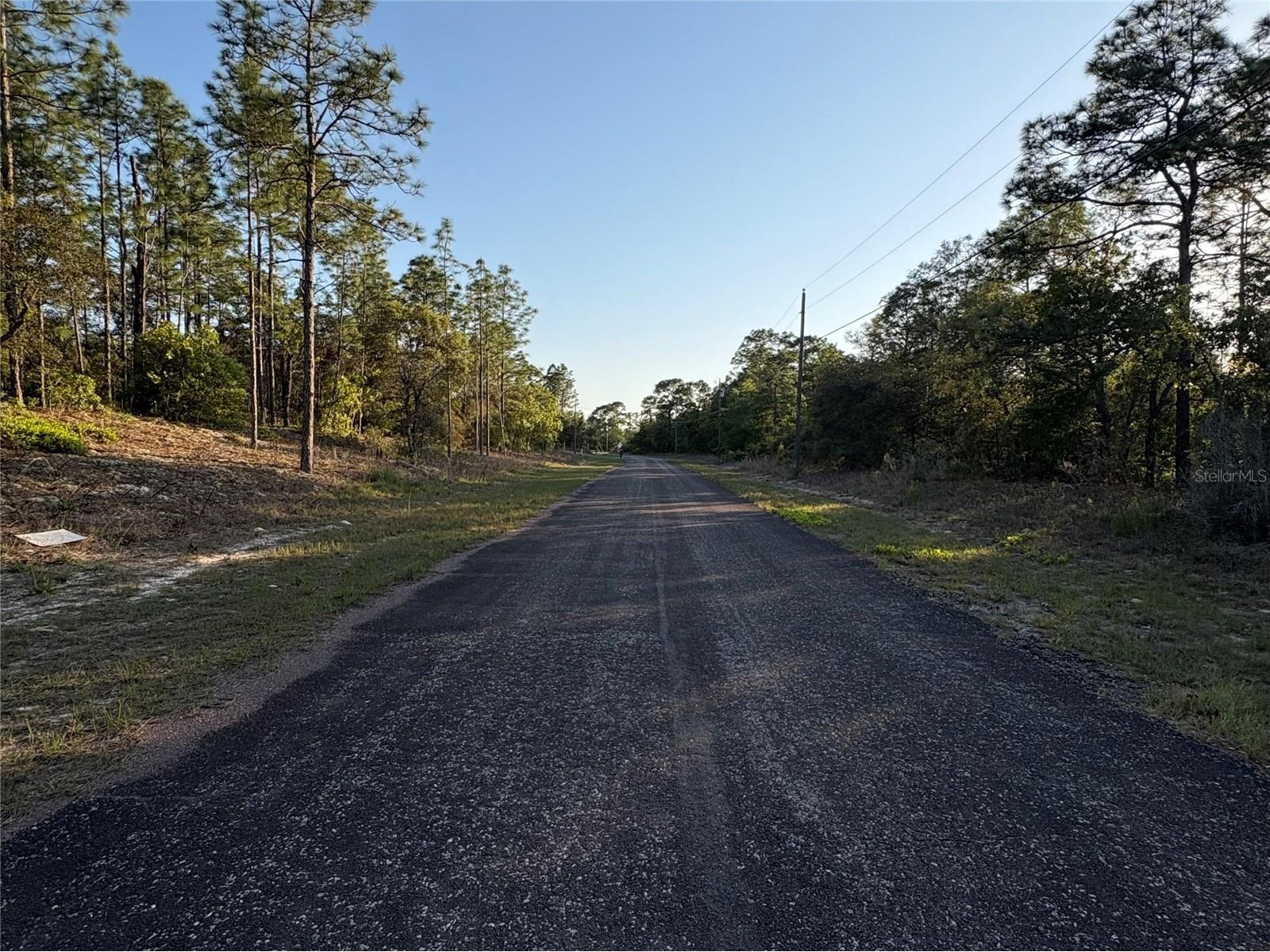 9172 N Marcus Way Citrus Springs FL 34433 TB8380364 image6
