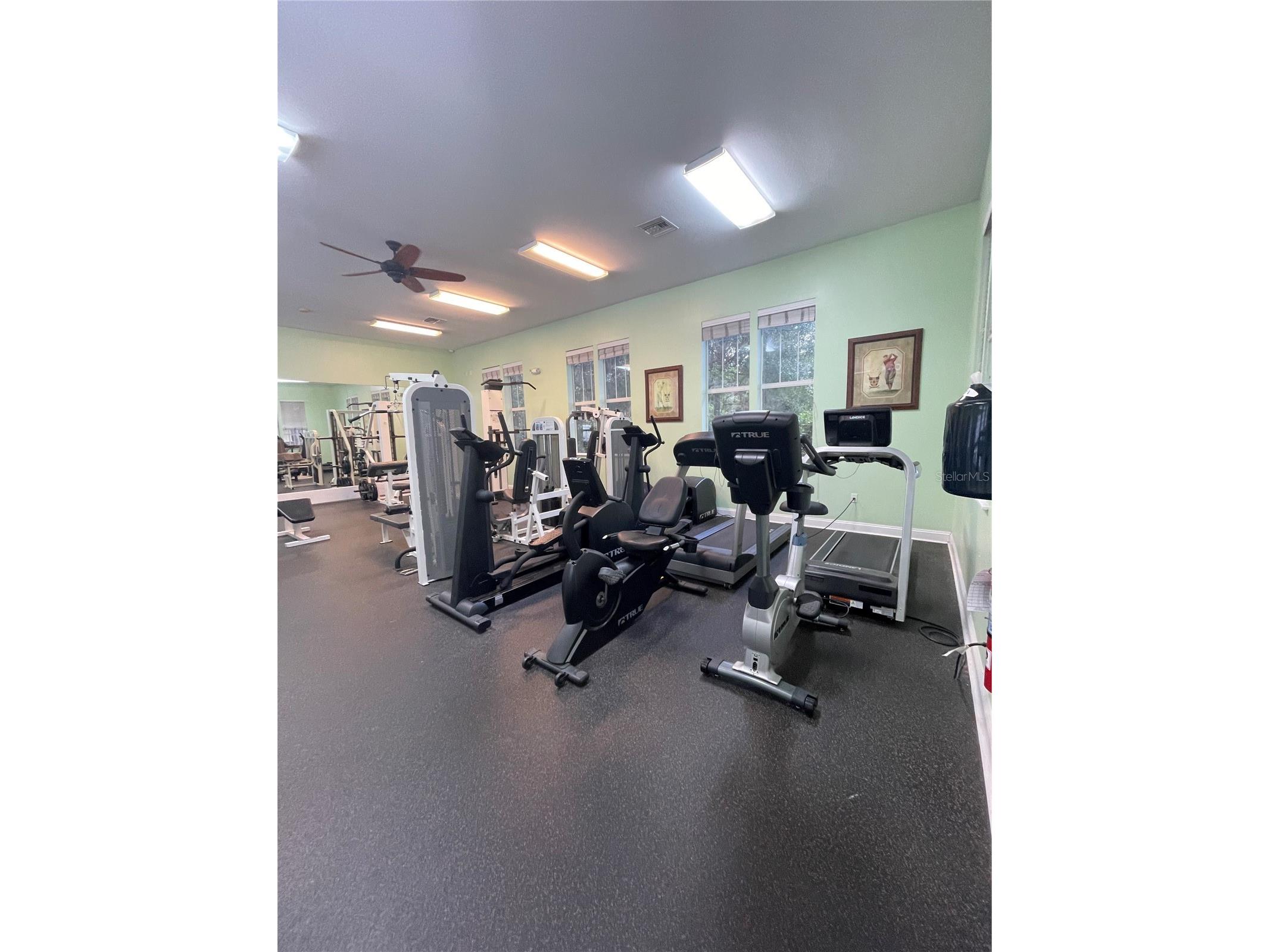 9172 SW 52nd Road #F202 Gainesville FL 32608 GC541767 image16