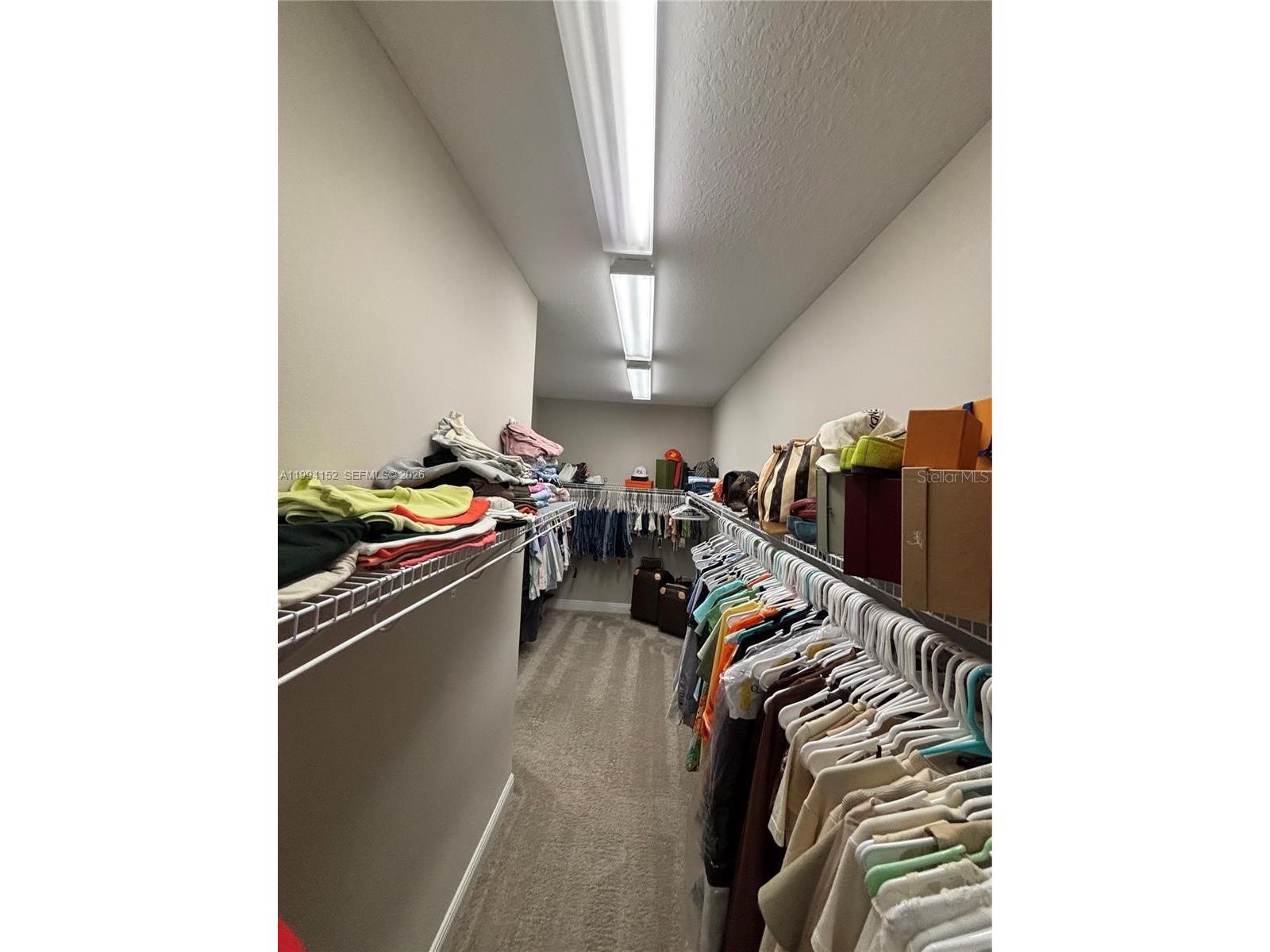 9173 Warm Springs Circle Parrish FL 34219 O6406436 image35
