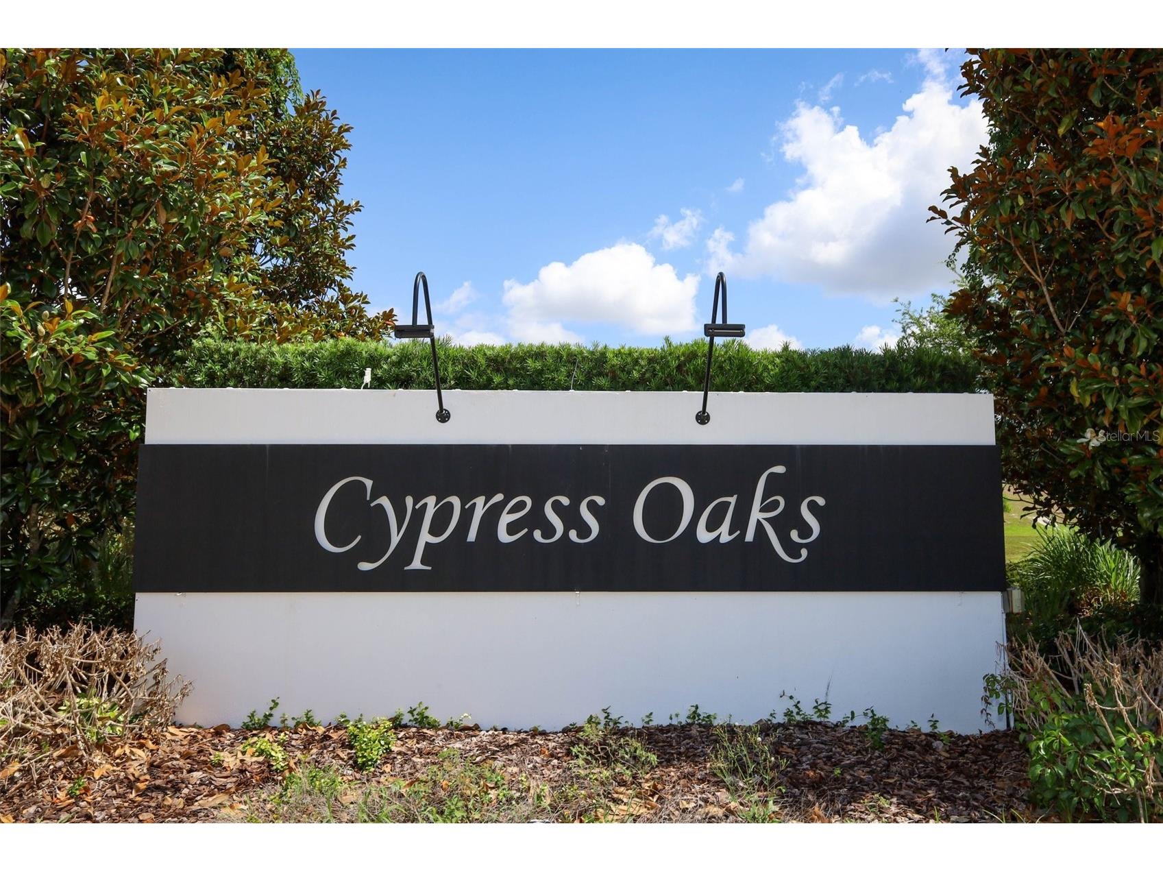 9175 Chandler Drive Groveland FL 34736 S5149934 image19