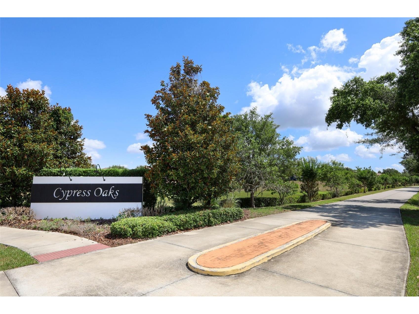 9175 Chandler Drive Groveland FL 34736 S5149934 image20