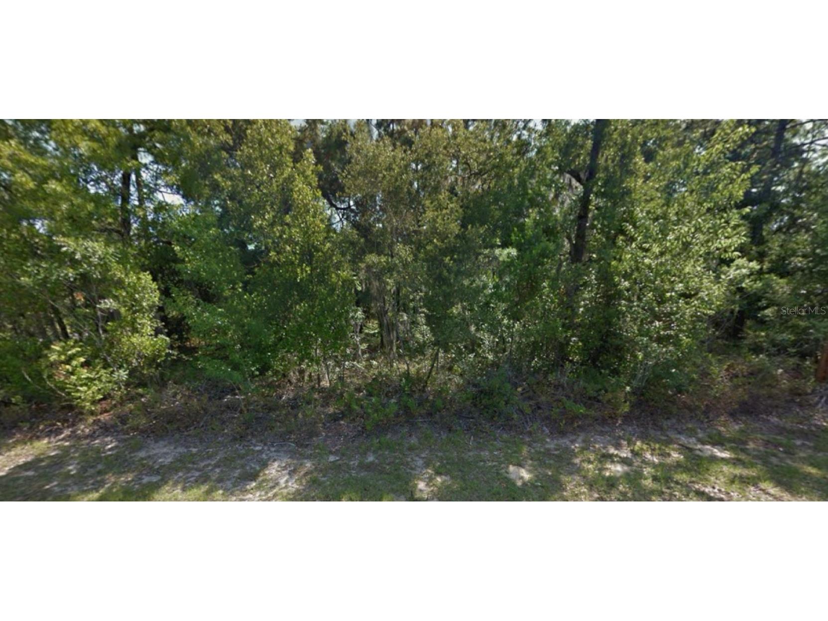 9175 N Commodore Drive Citrus Springs FL 34434 TB8330220 image1