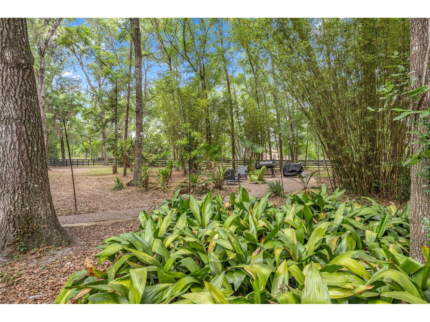 9175 SE 7th Avenue Road Ocala FL 34480 OM723244 image52