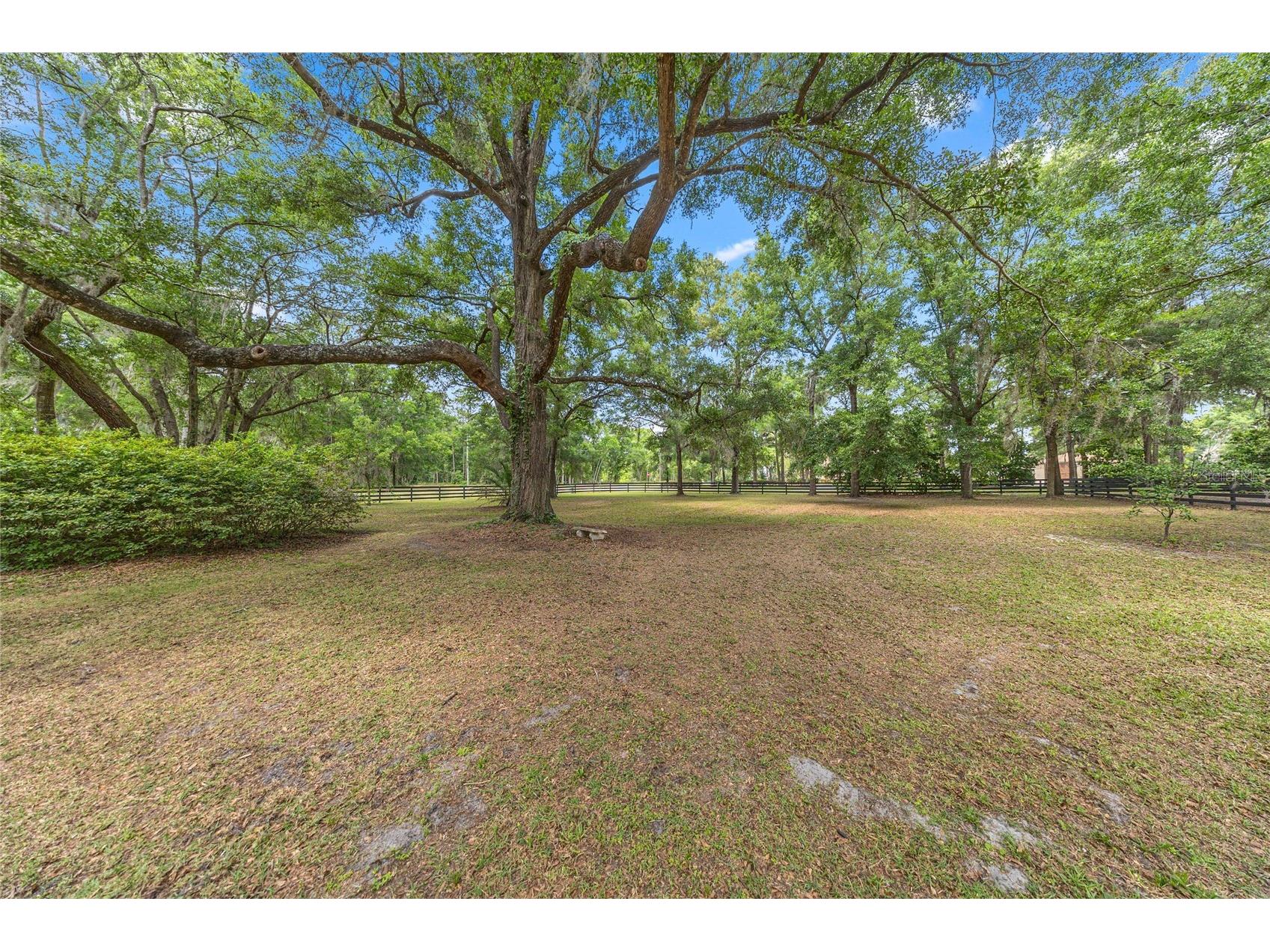 9175 SE 7th Avenue Road Ocala FL 34480 OM723244 image53