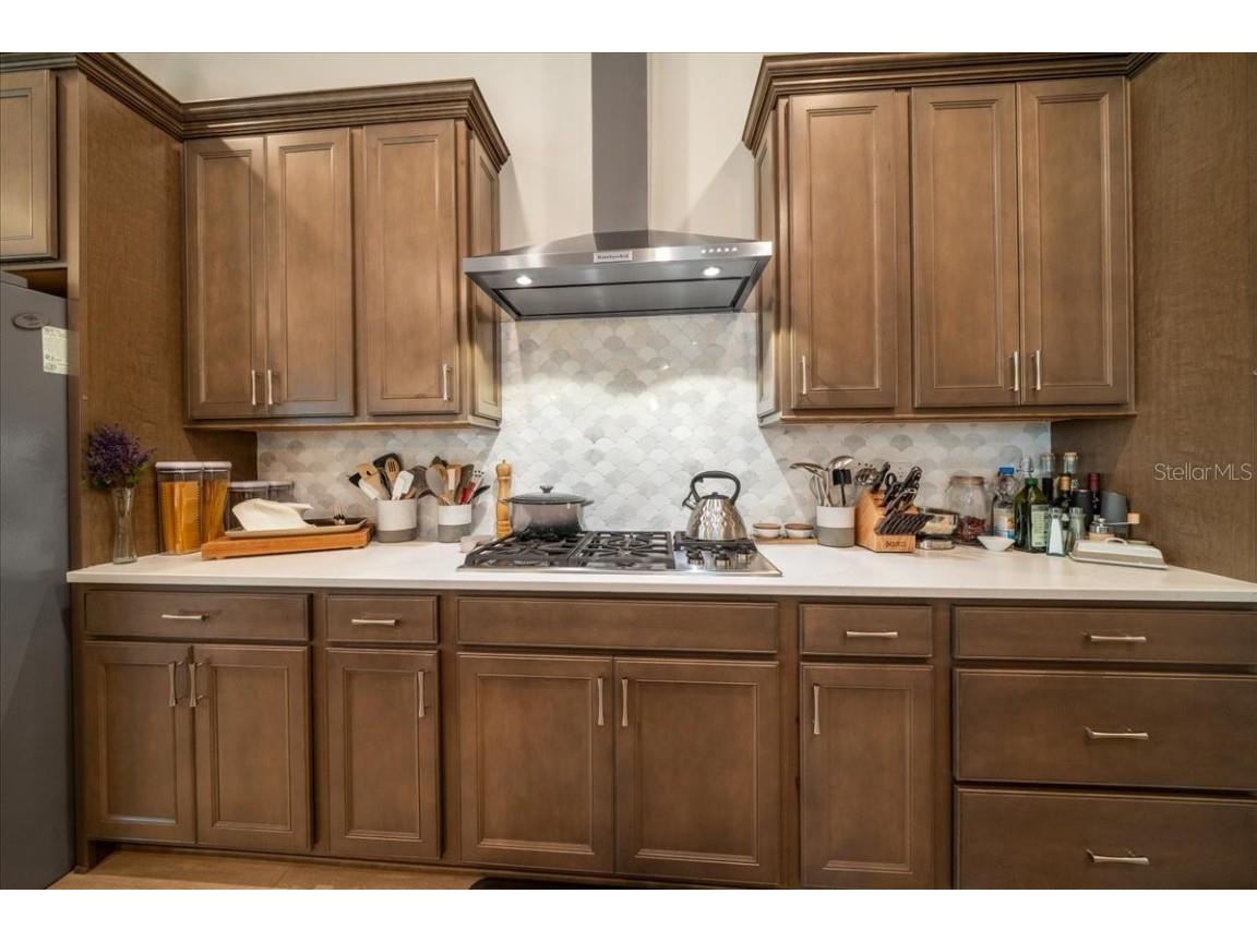 9175 SW 65th Loop Ocala FL 34481 OM691195 image36