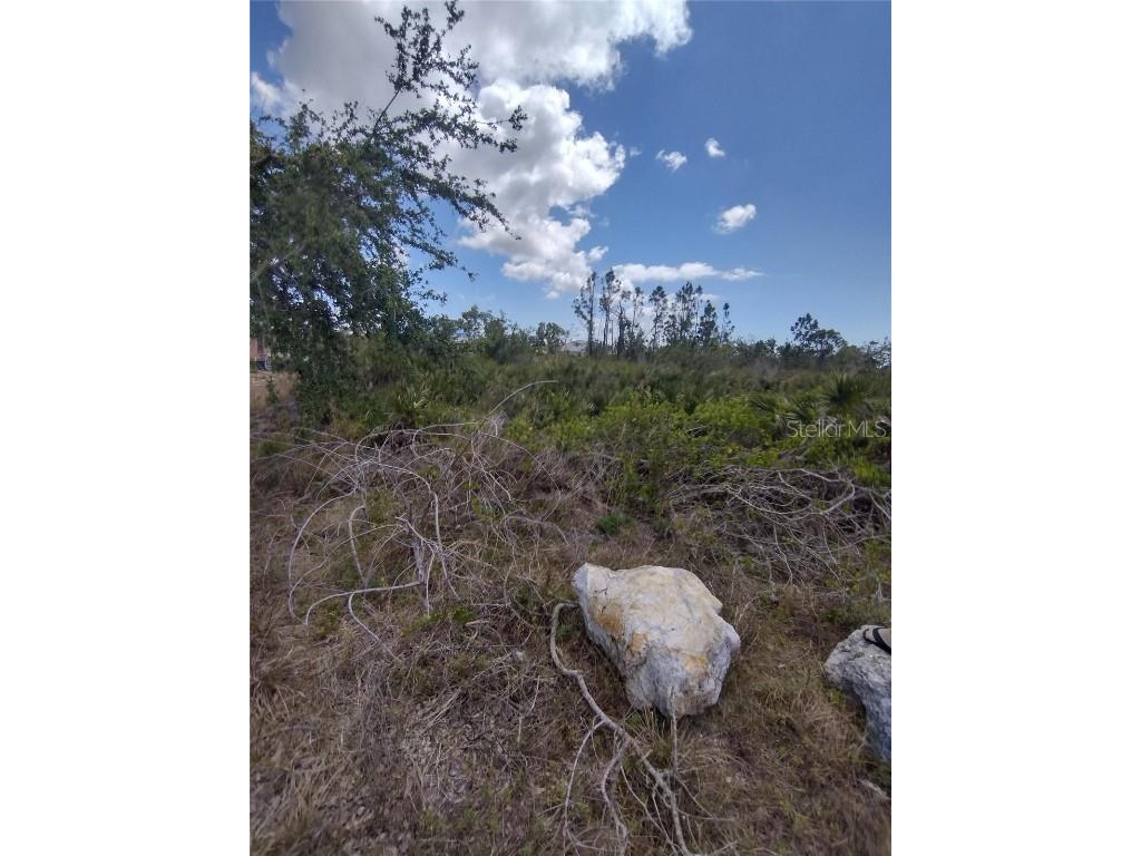 9176 Casey Street Port Charlotte FL 33981 O6305006 image4