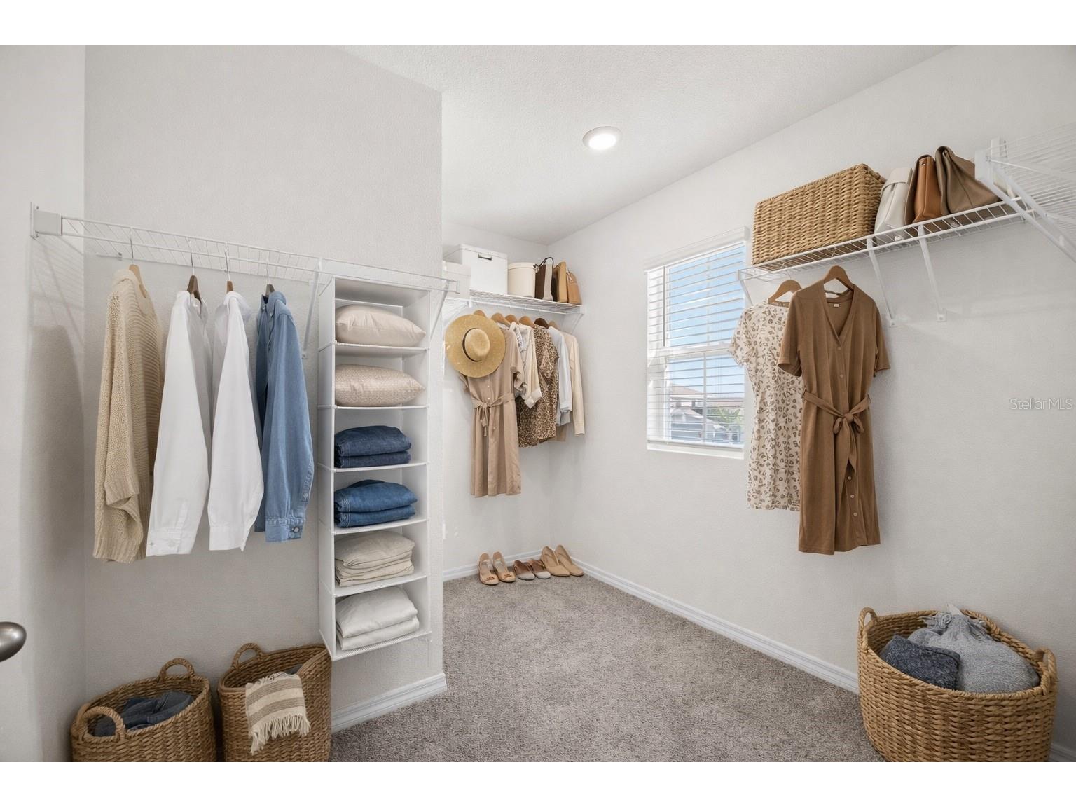 9176 Forge Breeze Loop Wesley Chapel FL 33545 TB8471691 image24