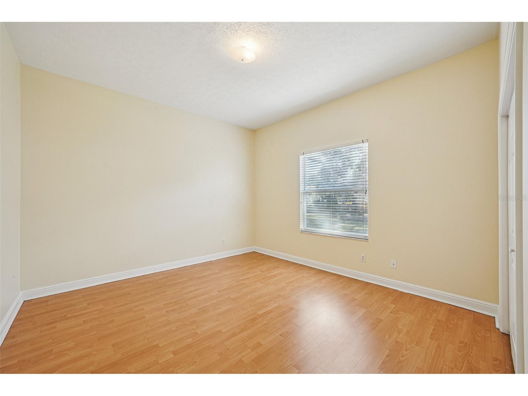 918 Academy Drive Brandon FL 33511 TB8474864 image40