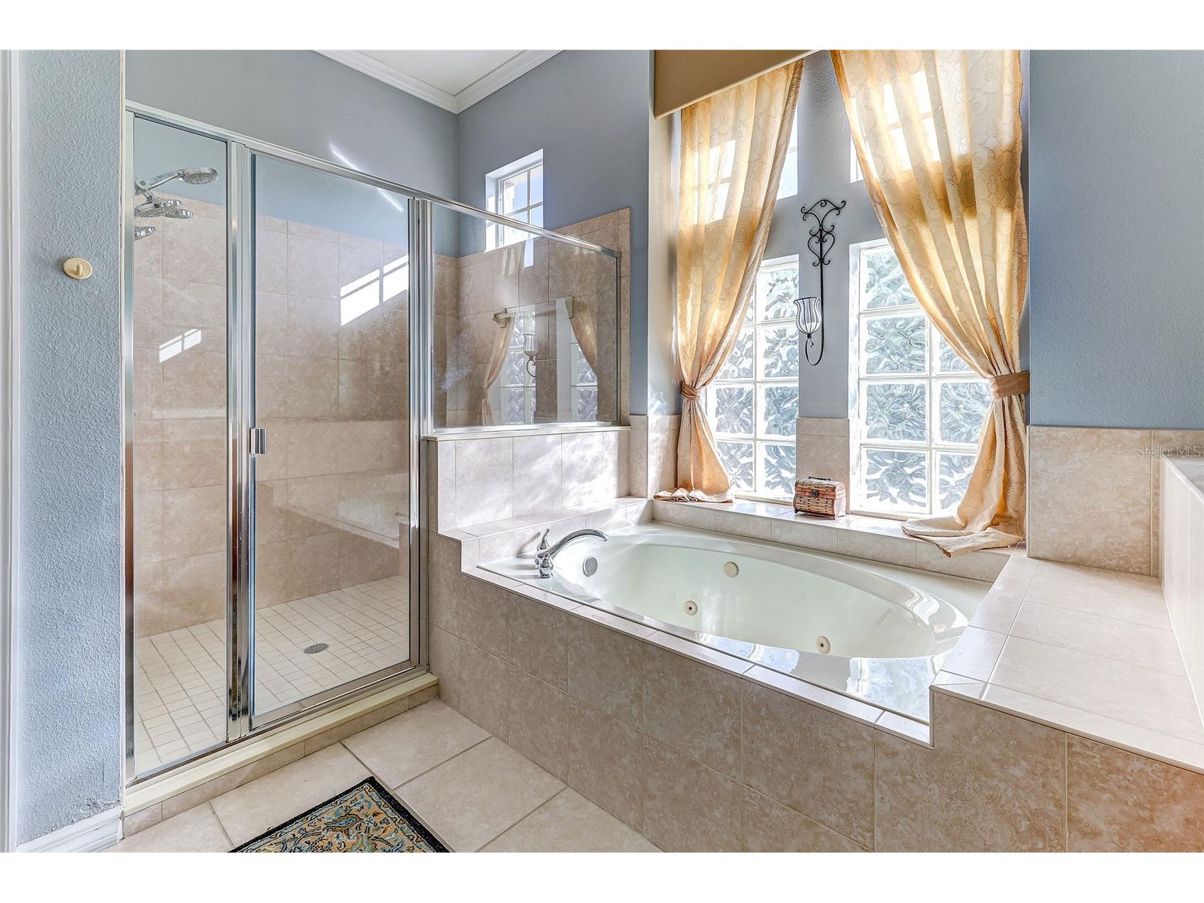 918 Algare Loop Windermere FL 34786 O6396400 image39