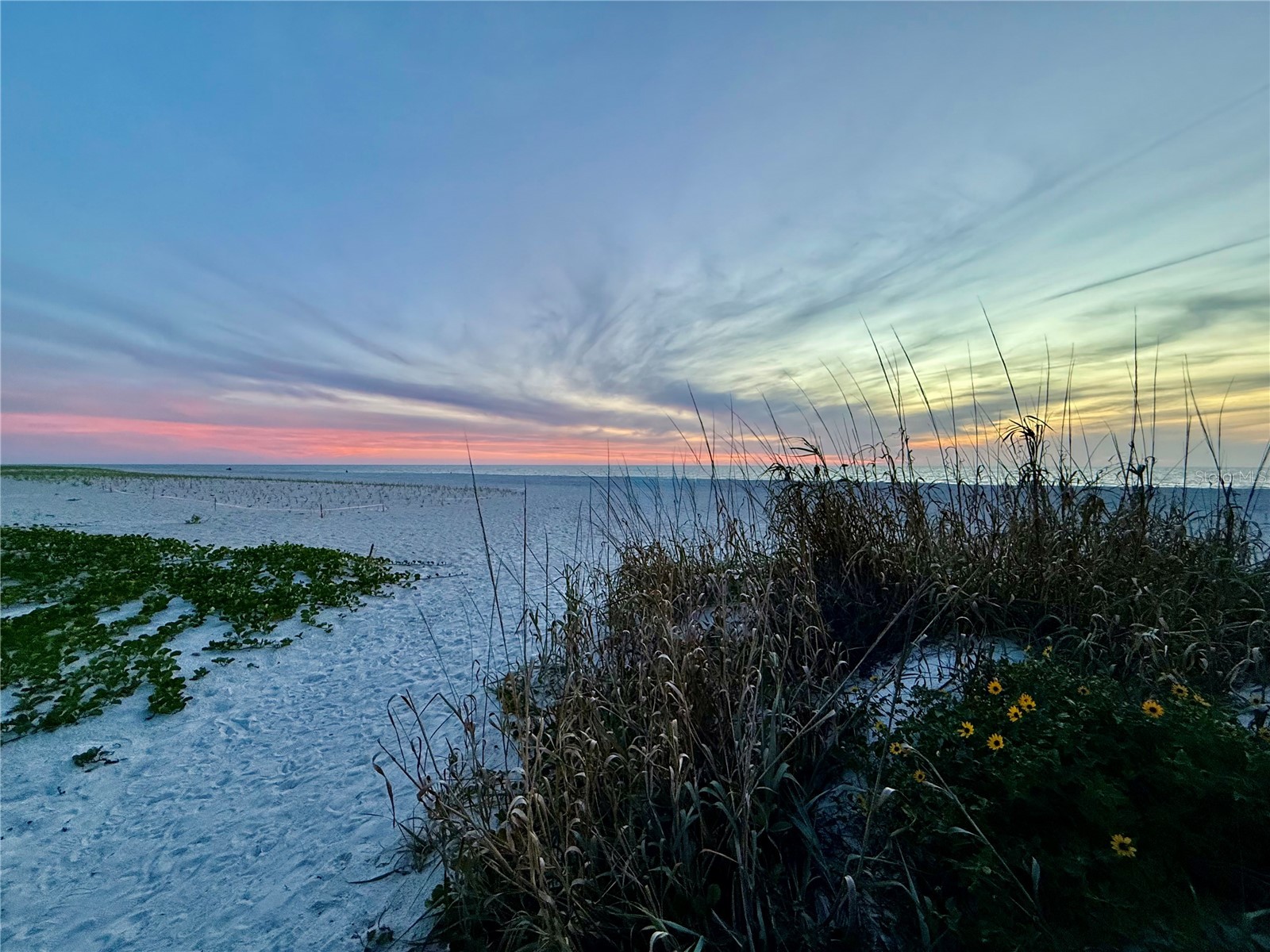 918 Bay Breeze Terrace Largo FL 33770 TB8526639 image100