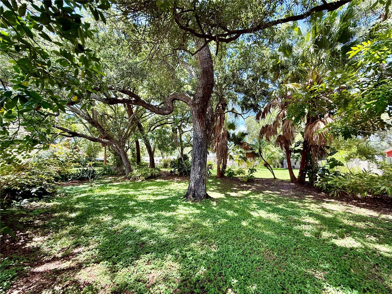 918 Bay Breeze Terrace Largo FL 33770 TB8526639 image78