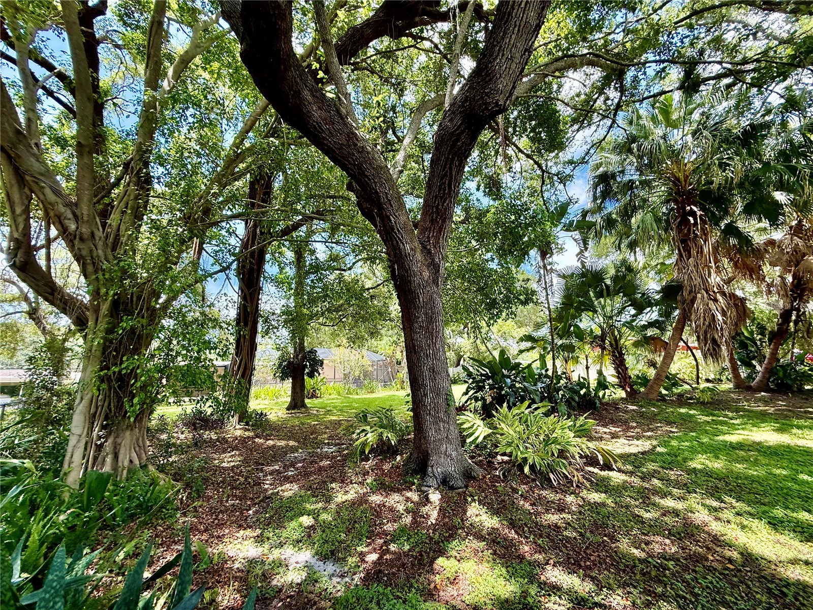 918 Bay Breeze Terrace Largo FL 33770 TB8526639 image80